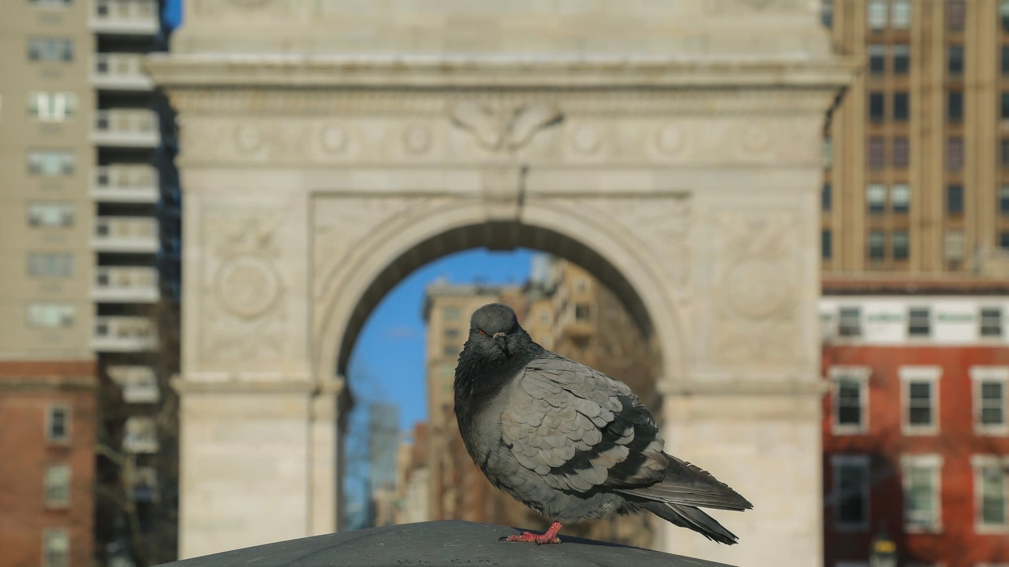 Arch Guard