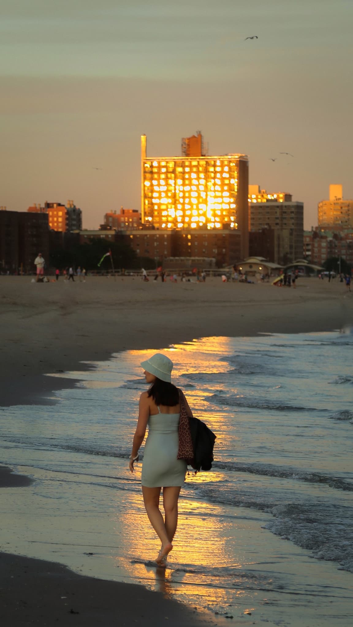 Coney Shore
