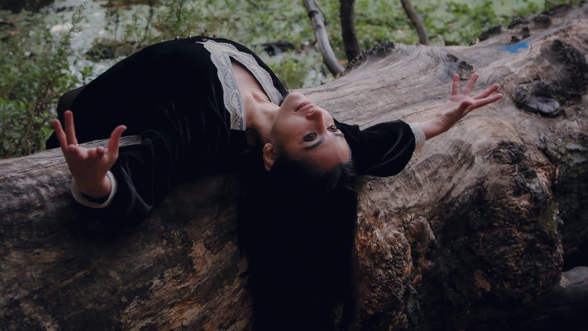 Forest Floor