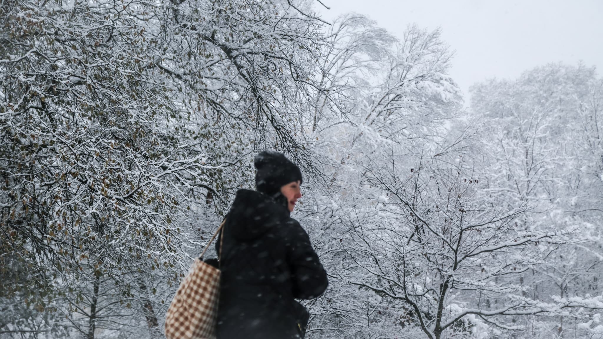 Half-Turned in the Blizzard