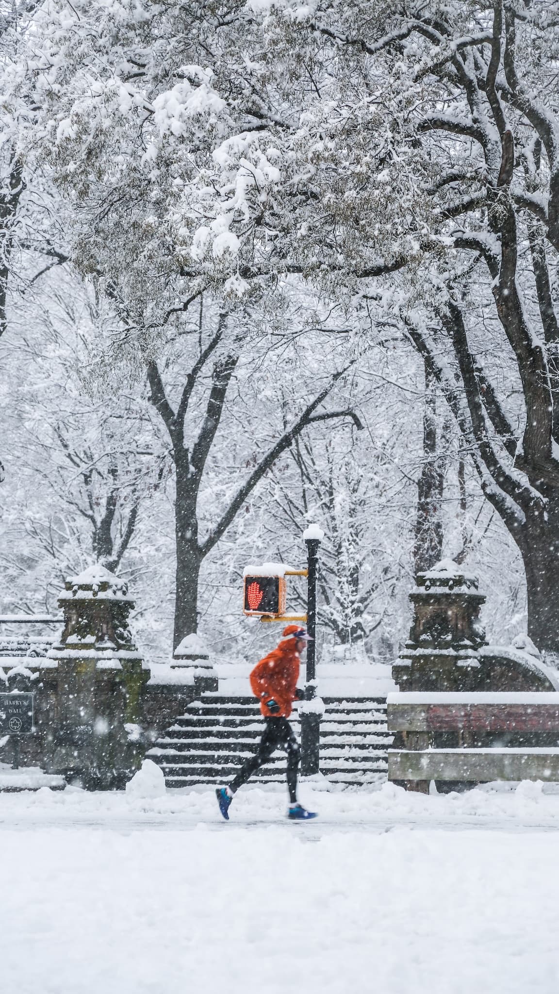The Runner