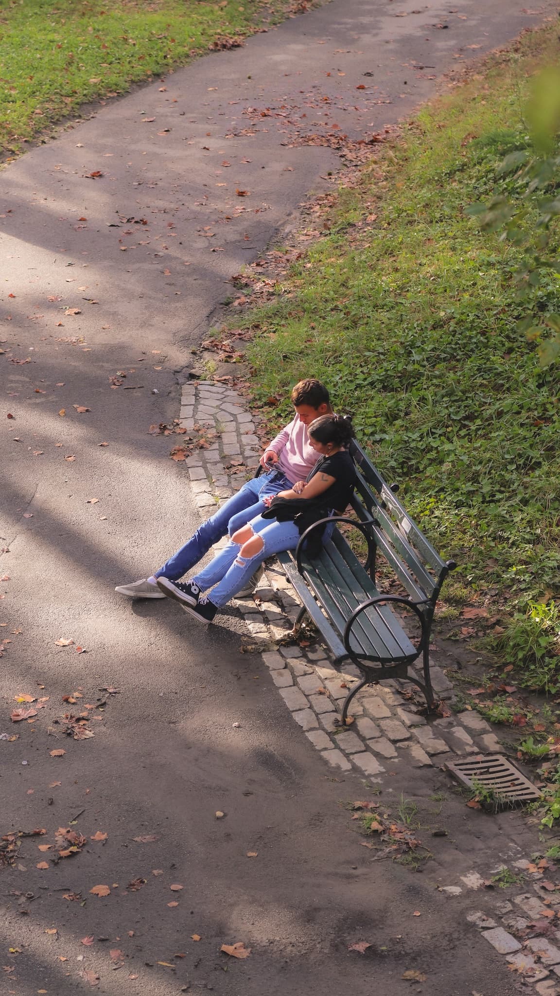 The Bench