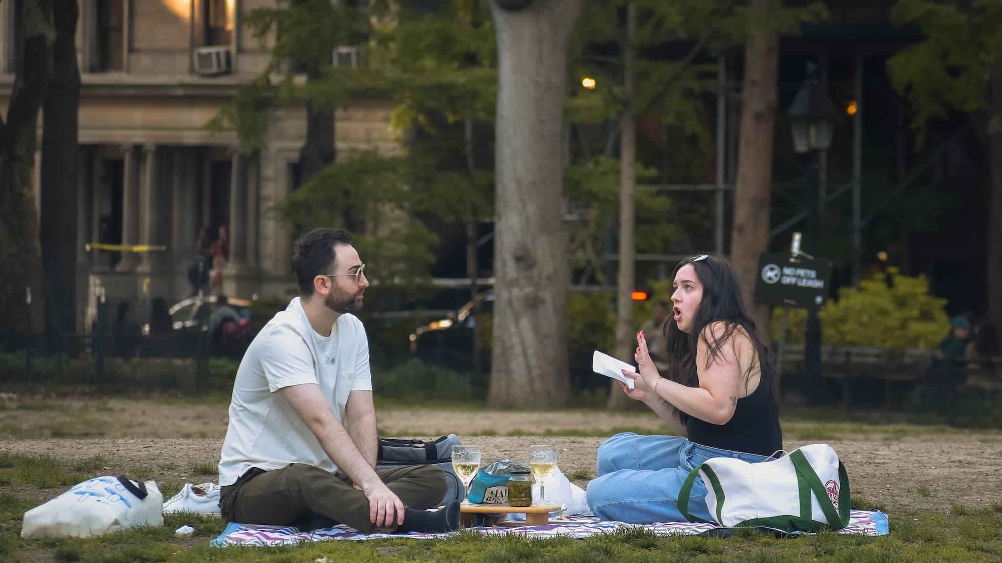 The Picnic