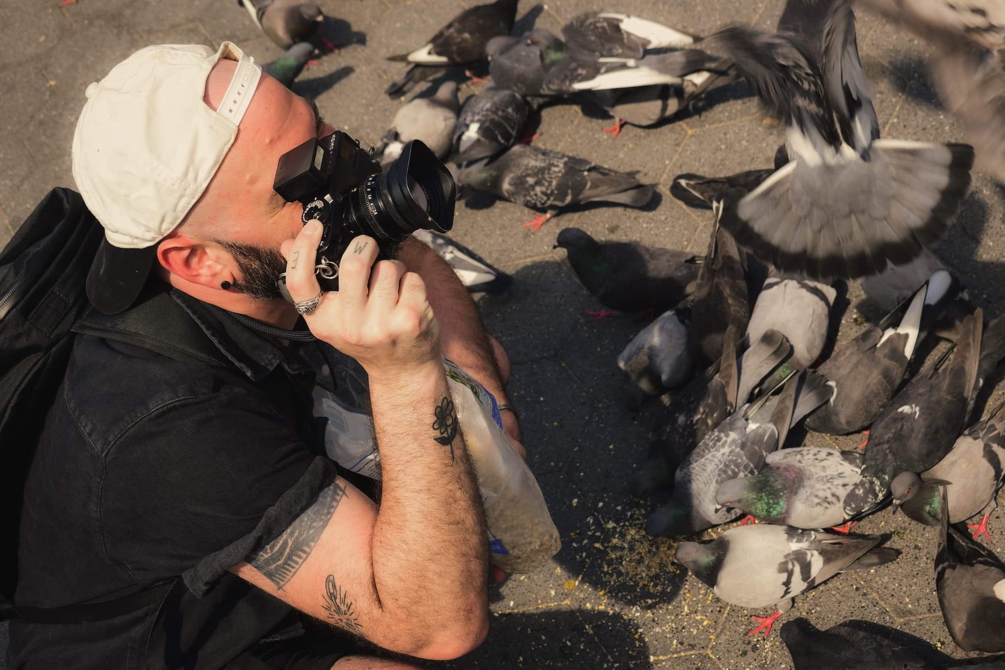 Pigeon Shooter